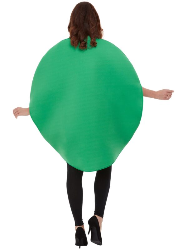 Watermelon Costume, Red & Green - Image 4