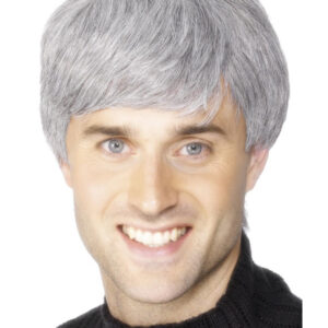 Corporate Wig, Grey