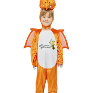 Julia Donaldson Zog Costume