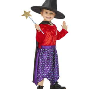 Julia Donaldson Room On The Broom Costume