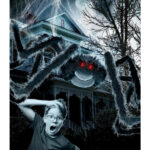 Outdoor Giant Spider & 1.2m Web