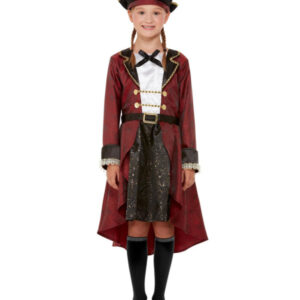 Deluxe Swashbuckler Pirate Costume