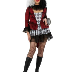 Evil Jester Costume