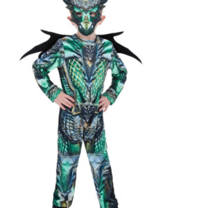 Dragon Costume