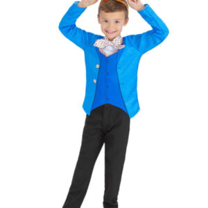 Mr Rabbit Costume